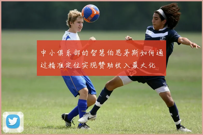 中小俱乐部的智慧伯恩茅斯如何通过精准定位实现赞助收入最大化